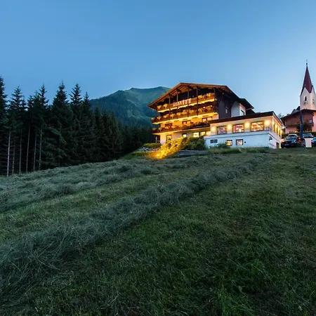 Hotel Witt 3*