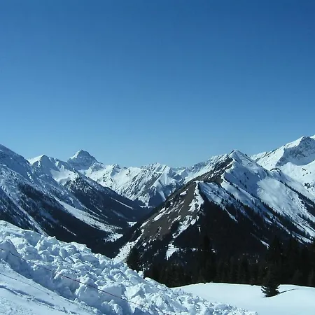 호텔 Witt 베르왕