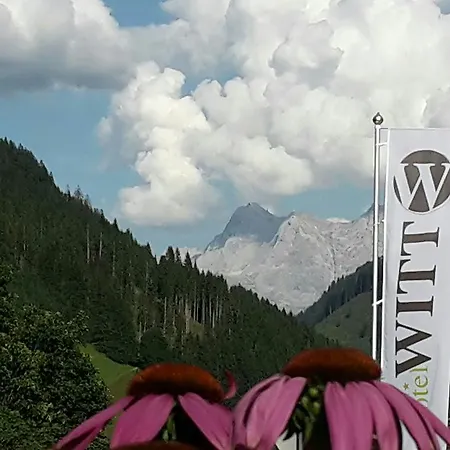 فندق Witt 3*